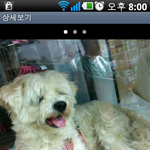★★<필독> <b>목동</b> 말티2살여아 급해요!!!!ㅠㅠ★★