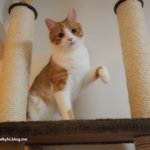 저흰 이렇게 놀았어요~★유봉이 앙즈 판★