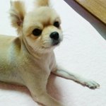 [또또] 안녕하세요 또또에요!