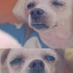 ★(사진 읭?)20대흔녀들의 개그터지는 <b>pc</b>방알바이야기★