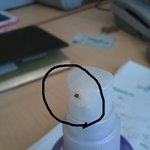 이 사진좀 봐주세요 벌레가 나온것인지 들어간것인지