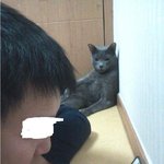 (수정) 저런 <b>한심</b>한 녀석ㅉㅉ