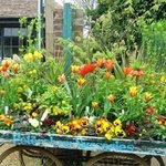 드디어 기다리던 비소식이..레인부츠 아이템 활용법~