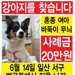 <b>일산</b>지역>우리아가좀 봐주세요~