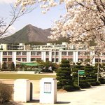 <b>남원</b>여고 봄풍경 사진입니다. ^^