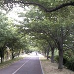 [사진有] 퇴근길에 쫓아오던 그남자.. 나 납치당할뻔 한거임?
