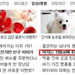 158cm에43kg이 딱 보기 좋다고 했던 구남친.