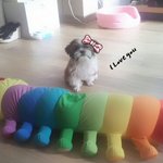 ☆<b>슈리</b>슈리~마슈리~♥이뿐내 딸램☆