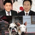 연예인 닮은꼴