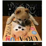 얘가 <b>난가</b>? 아닌가?