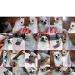 ★☆(사진有)내가 이구역 <b>기요미</b>★☆