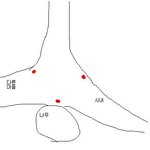 후임한테 들었던 무서웠던 실화~3