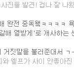 <b>vip</b>랑엘프가 왜 사이가 안좋아진 발단임? 이게??