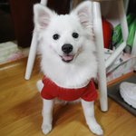 ★★★행복이의 행복한(?) 자취방 <마지막탄>★★★