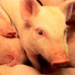 <b>농촌</b>에서 살아가는 21살청년-0-