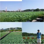 ★☆ 혼자 자전거 타고서 어디 다녀왔나요?? ★☆