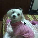 나니를 찾습니다..