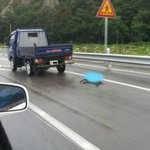 <b>잔인</b>하다고 생각 안해봤어?
