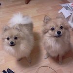 ♡사고뭉치지만 너무 예쁜 우리집 모녀 1♡