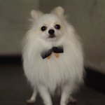 @ 한글이와 세종대왕 [14탄!!!]