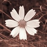 to. <b>연두</b>
