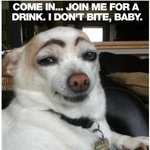 ㅋㅋㅋ강아지눈썹 ㅋㅋㅋㅋ<b>귀여</b>웤ㅋㅋ