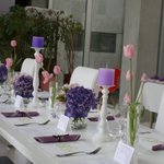 결혼비용절약과  결혼준비에  도움이 될만한  사이트 모음