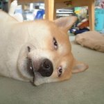 20살이 대외활동?