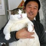 살 좀 빼야할것 같은 <b>동물</b>들