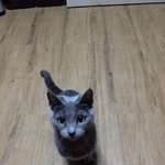 ★★★미요보여줄께★★★