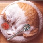 "음식가지고 <b>장난</b>하는거 아니야"