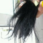 남은 제 머리를 지키고싶어요....