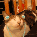 아 이게말이되나요?ㅡㅡ