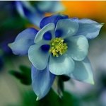 신천지 교리
