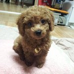자가미용함부로하지마세요ㅠㅠ