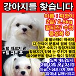 ★★전주사시는분들..제발봐주세요..