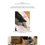 ♥스트리트 보이♥ 귀요미 <b>믹스</b>견 봉구의 성장기! :d