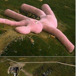 구글맵에나온 집보다큰 토끼