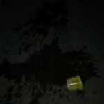 달샤벳이 뭐임?먹는거임?ㅋ