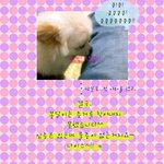 제 이름은 봉달이입니다.ㅋ