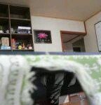 ★심령사진에피소드★