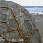 자연이 빚어놓은 놀라운 <b>현상</b>