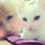 2탄~*.*네마리의 아가냐옹이의 엄빠가된 새콤달콤 (스크롤 압박주의)