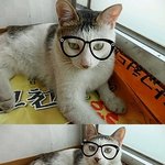 (사진 추가 +)2탄(스압!!) ♥하늘에서보낸선물야선생과야퉁이♥