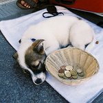 헤어진 여자친구의 이별이유..