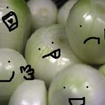 양파는 몇년살수있을까?