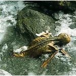 ★ 5300년 동안 얼음속에 갇혀있던 사람 - 5300년 된 냉동미라...