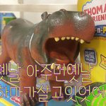 ☆★☆★사진有스압有 ))작은<b>하마</b>이야기ㅋㅋㅋㅋ☆★☆★