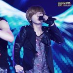 <b>몽환</b>의 숲