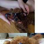 우리<b>미남</b>이 건강하자!